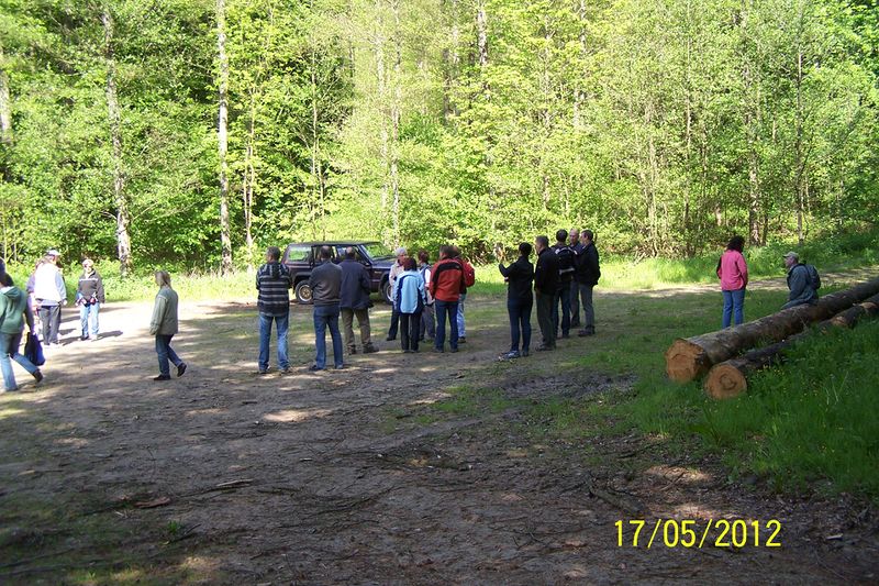 Datei:2012-Gemarkungswanderung 16.jpg