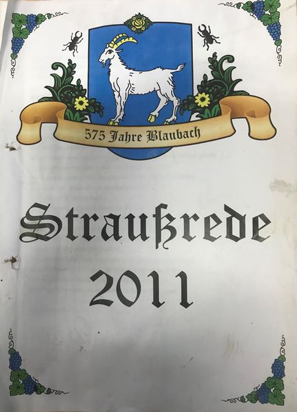 Datei:Titelblatt Straussrede 2011.jpg